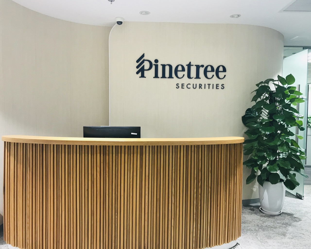 văn phòng Pinetree